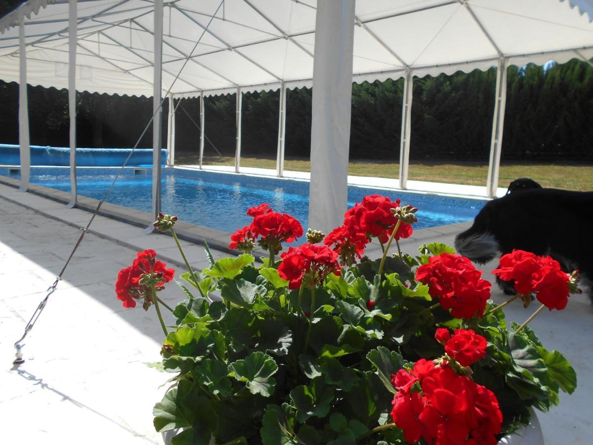 Méry-sur-Cher Les Bruyeres B&B 외부 사진